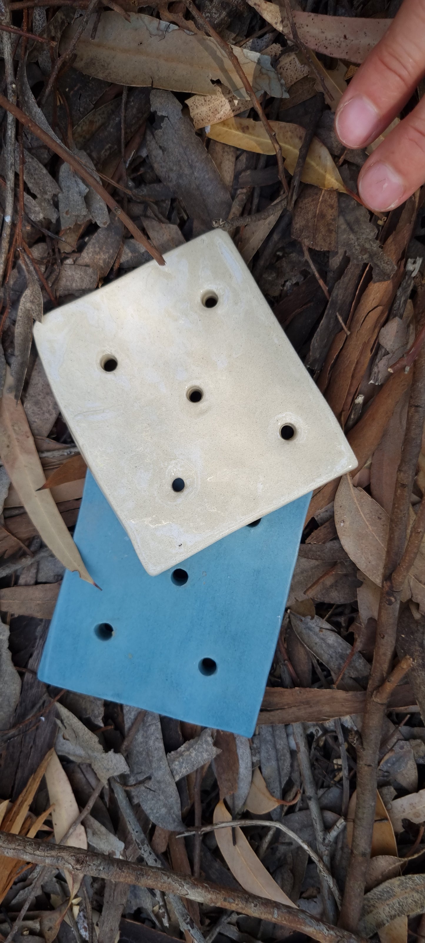 Soap Dish