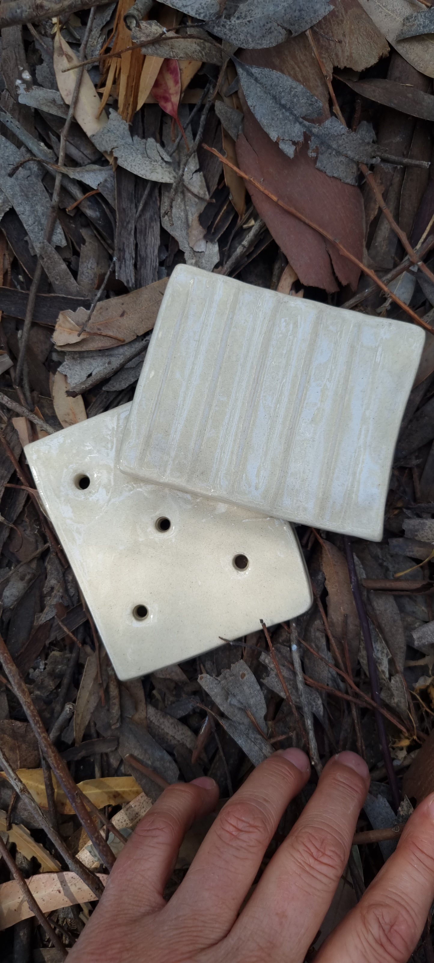 Soap Dish