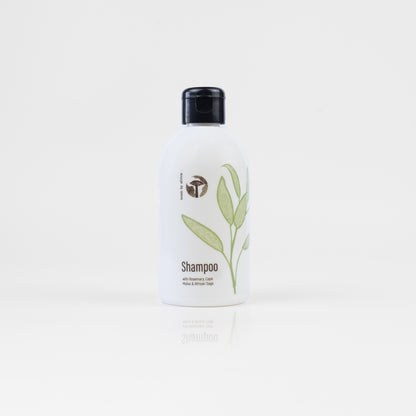 Shampoo With Rosemary, Cape Malva and African Sage