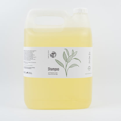 Shampoo With Rosemary, Cape Malva and African Sage